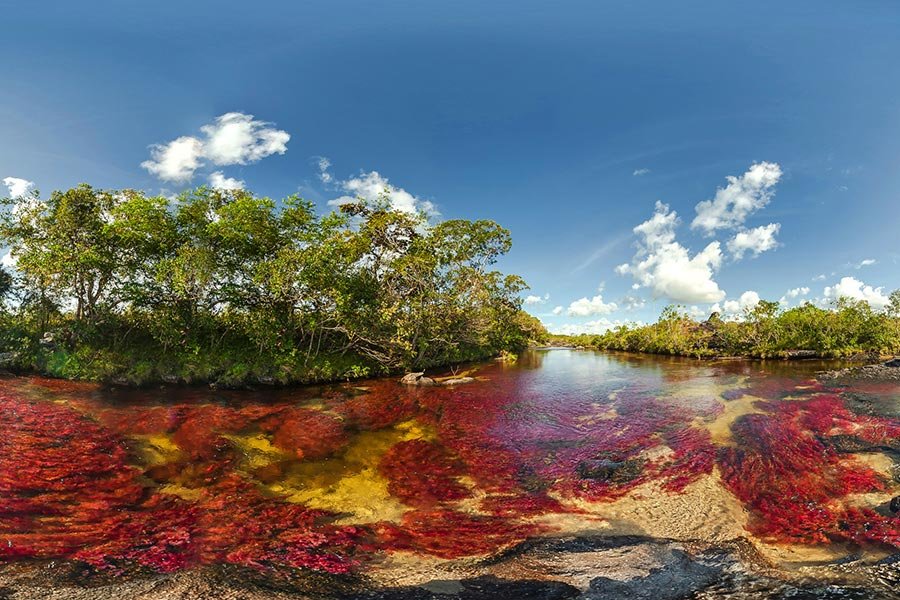 Caño Cristales Meta Colombia - el río de los cinco colores