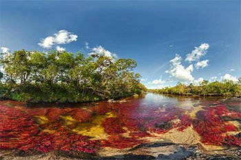Caño Cristales, Meta, Colombia turismo