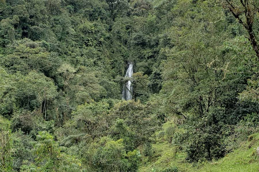 Cascadas de Jardín Antioquia - naturaleza y senderismo
