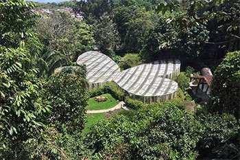 Pereira Risaralda Colombia turismo Eje Cafetero qué hacer